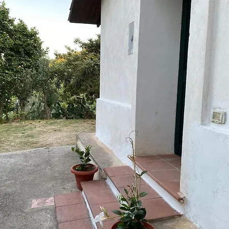 Nyaraló Medlar *